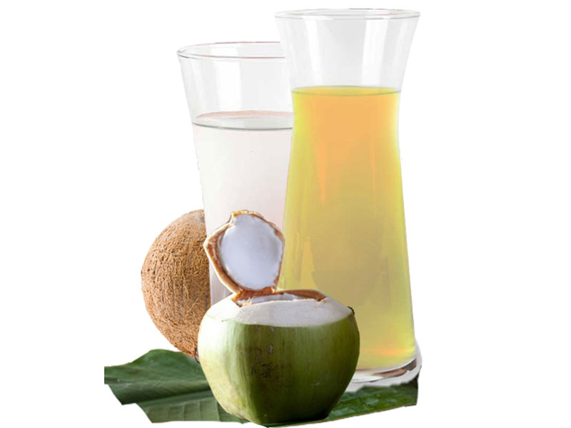 FROZEN COCONUT WATER CONCENTRATE